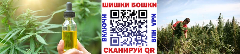 дарк нет клад  Гдов  Cannafood конопля 
