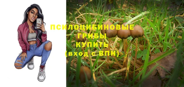 тгк Алексеевка