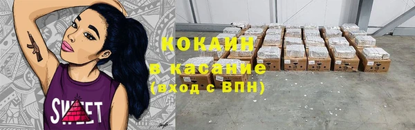 твердый Алзамай