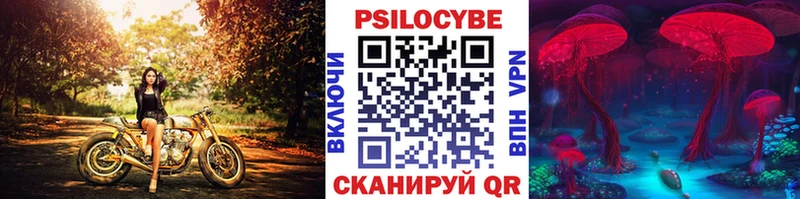 маркетплейс телеграм  Гдов  Галлюциногенные грибы Psilocybine cubensis  mega зеркало 