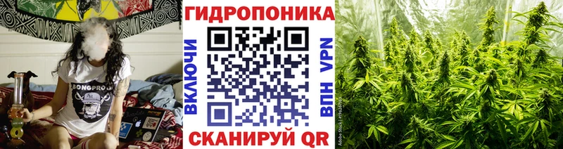 МАРИХУАНА OG Kush Гдов
